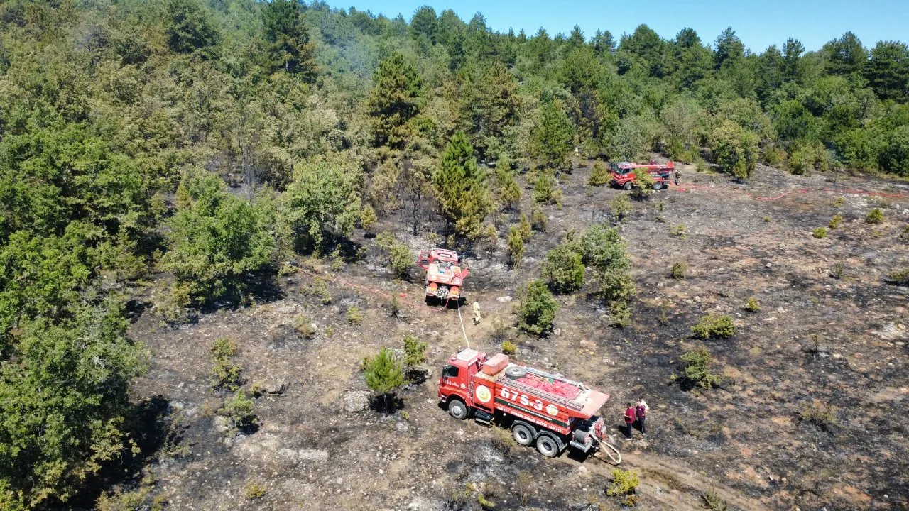 EFLANİ’DE ORMANLIK ALANDAKİ YANGINDA 5 DEKAR ALAN ZARAR GÖRDÜ