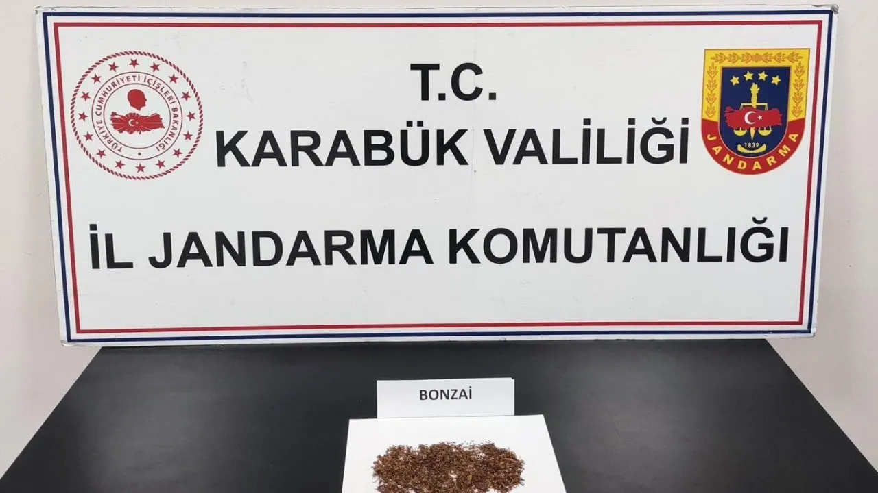 KARABÜK’TE BONZAİ OPERASYONU: 1 KİŞİ GÖZALTINA ALINDI
