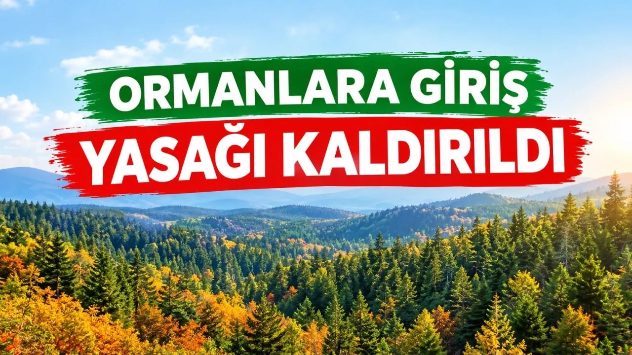 KARABÜK’TE ORMANLARA GİRİŞ YASAĞI KALDIRILDI