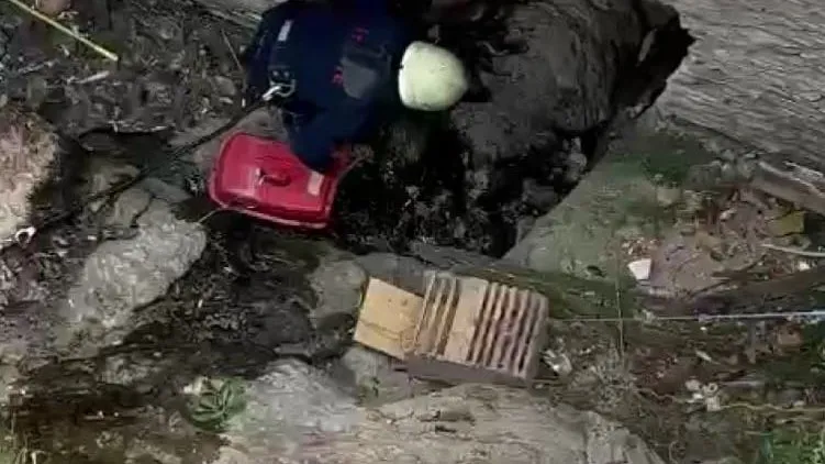 SAFRANBOLU’DA DEREDE MAHSUR KALAN KEDİ KURTARILDI