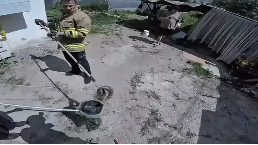 SAFRANBOLU’DA EVİN GİRİŞİNDE GÖRÜLEN ZEHİRLİ YILAN PANİĞE NEDEN OLDU