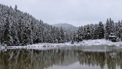Karabük’ün Safranbolu ilçesinde bulunan Sarıçiçek Yaylası gece saatlerinde yağan kar