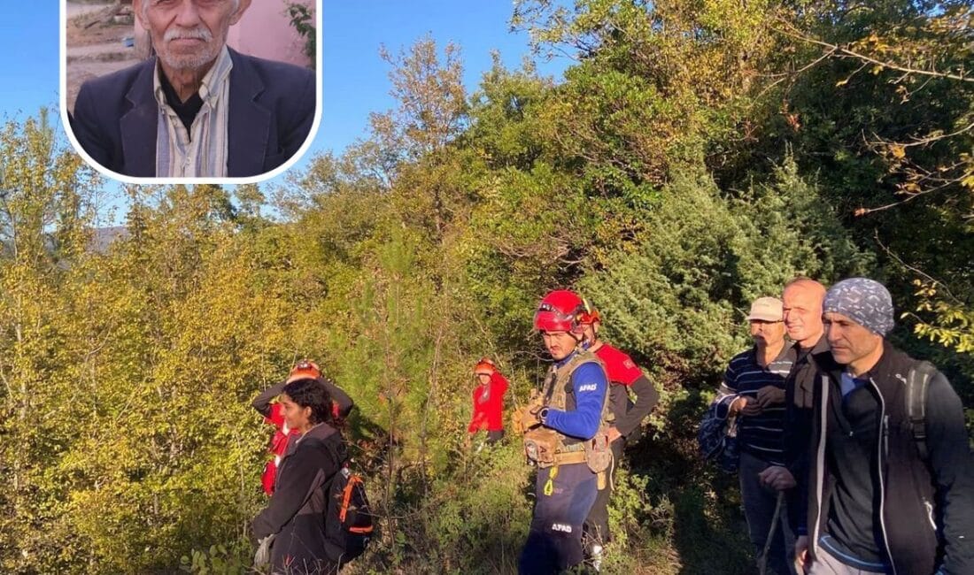 Karabük'ün Safranbolu İlçesine bağlı Tayyip köyünden Bartın'ın Ulus İlçesine eşek