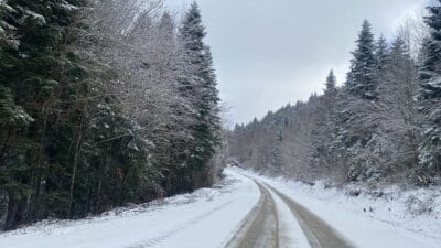 Karabük’ün yüksek rakımlı bölgelerinde sabah saatlerinde başlayan kar yağışı, doğayı