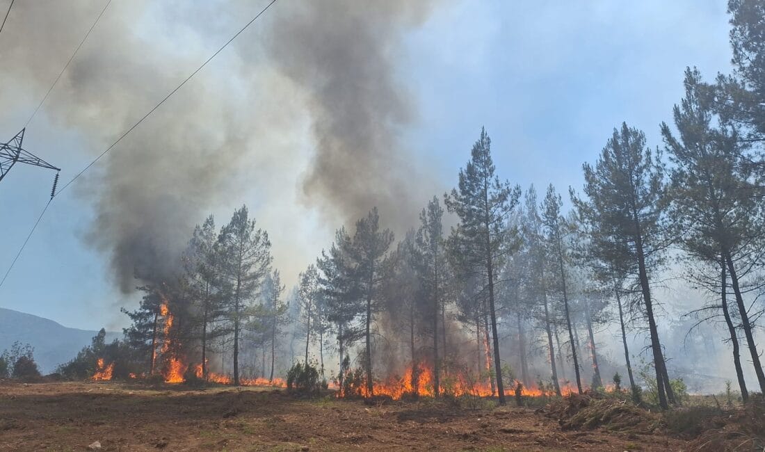 KARABÜK’TE ORMAN YANGINI : 10 DEKARLIK ALAN ETKİLENDİ Karabük’te orman yangınıKarabük’te ormanlık alanda çıkan yangın havadan ve karadan