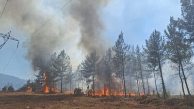 Karabük’te orman yangınıKarabük’te ormanlık alanda çıkan yangın havadan ve karadan