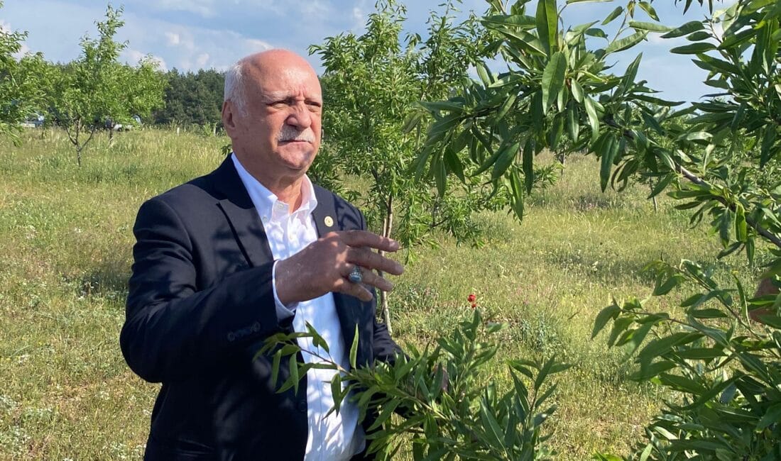 Türkiye Ziraat Odaları Birliği (TZOB) Genel Başkanı Şemsi Bayraktar, Karabük’te