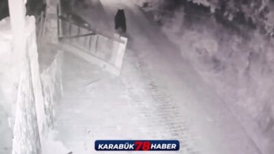 Yiyecek aramak için köye inen bir boz ayı, sokakta bir
