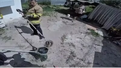 Karabük’ün Safranbolu ilçesinde bir evin giriş kısmında görülen zehirli engerek