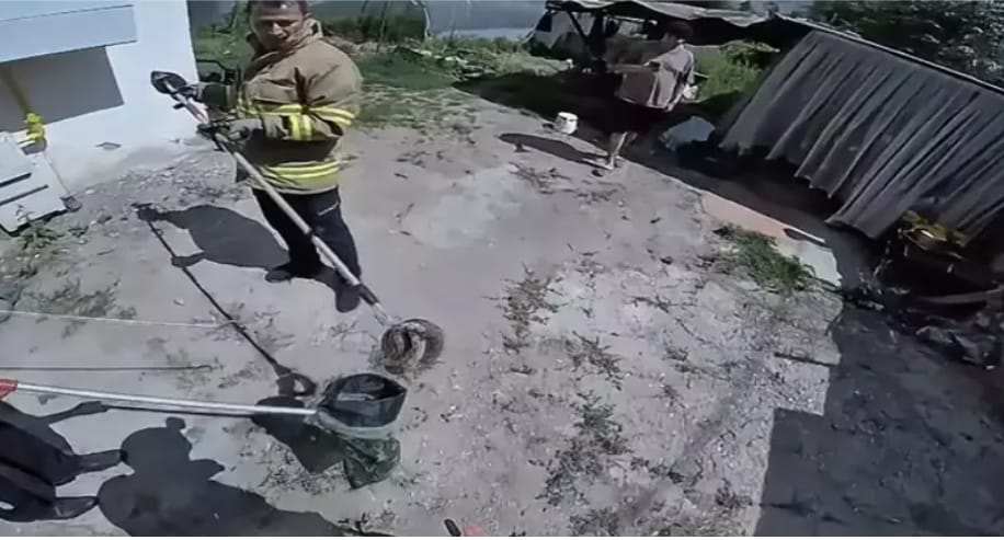 Karabük’ün Safranbolu ilçesinde bir evin giriş kısmında görülen zehirli engerek