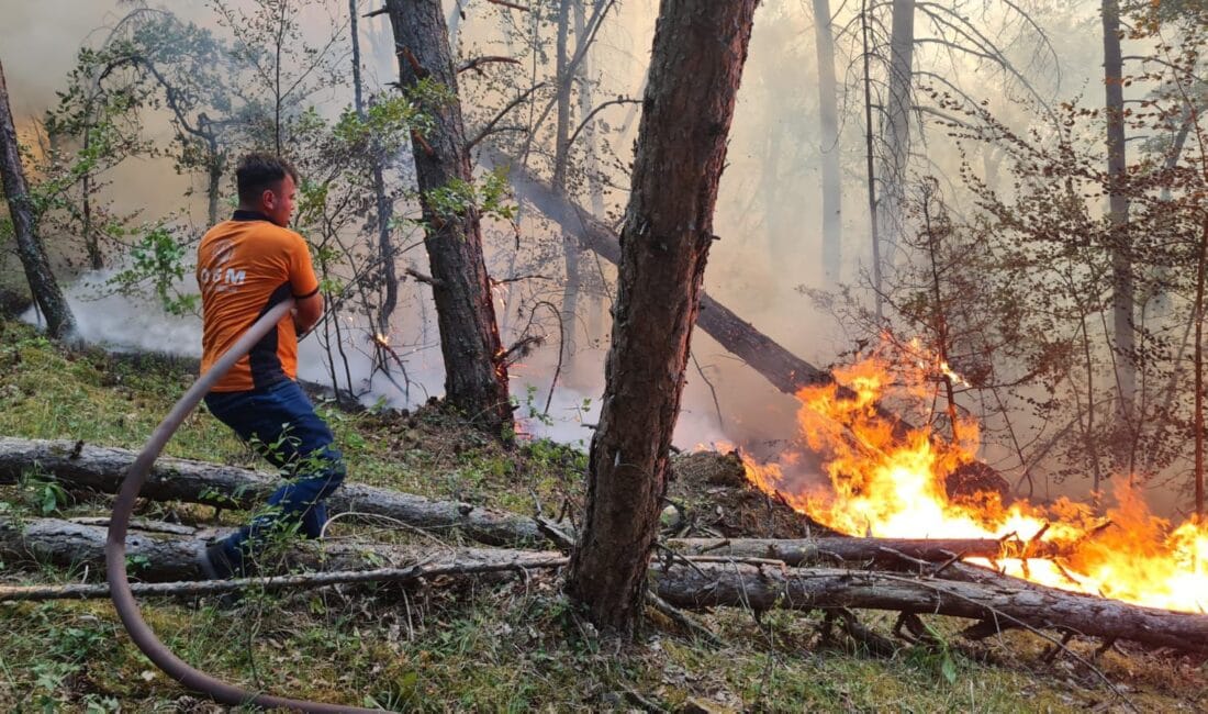 KARABÜK’TE ORMAN YANGINI: RÜZGARIN ETKİSİYLE YAYILDI, MÜDAHALE SÜRÜYOR Yangın, Karabük-Eskipazar kara yolu üzerindeki Cildikısık mevkisinde saat 16.30 sıralarında
