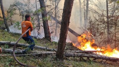 Yangın, Karabük-Eskipazar kara yolu üzerindeki Cildikısık mevkisinde saat 16.30 sıralarında