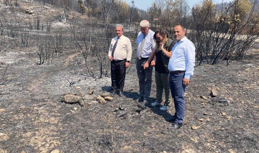 Karabük’te 23 Temmuz’da başlayan orman yangınlarıyla mücadele devam ederken, bölgenin