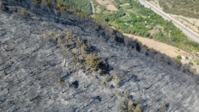 Karabük’te dün öğleden sonra çıkan orman yangınına müdahale çalışmaları aralıksız