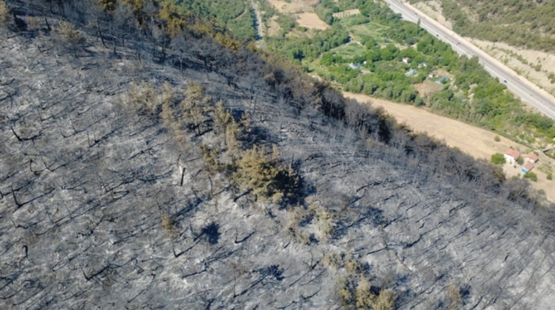 Karabük’te dün öğleden sonra çıkan orman yangınına müdahale çalışmaları aralıksız