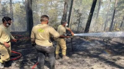 KARABÜK’ün Ovacık ve Safranbolu ilçelerinde 23 Temmuz’da başlayan orman yangınları