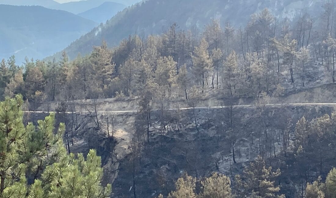 KARABÜK’TEKİ ORMAN YANGINI BÜYÜK ORANDA KONTROL ALTINDA Karabük’ün Merkez ilçesine bağlı Arıcak Köyü ile Yeşilköy Köyü arasındaki