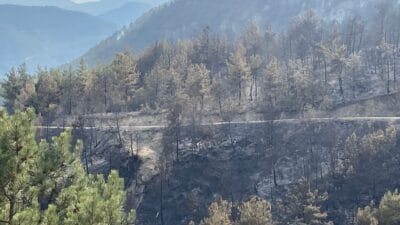 Karabük’ün Merkez ilçesine bağlı Arıcak Köyü ile Yeşilköy Köyü arasındaki