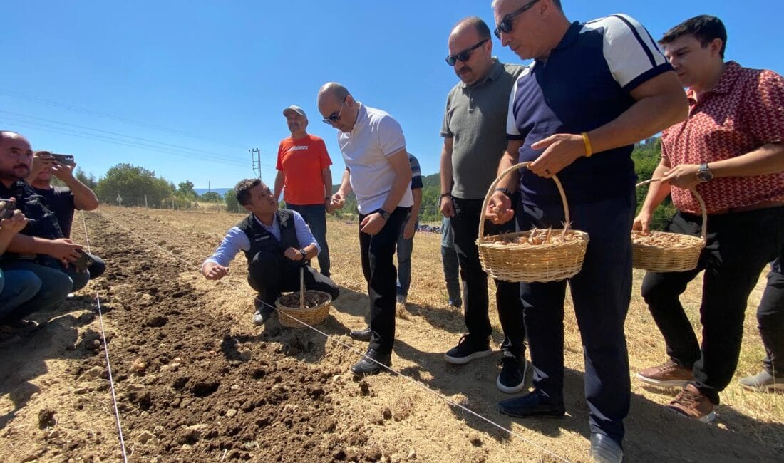 SAFRAN SOĞANLARI SAFRANOVA’DA TOPRAKLA BULUŞTU UNESCO Dünya Mirası Listesi’nde yer alan Karabük’ün Safranbolu ilçesinde, "dünyanın