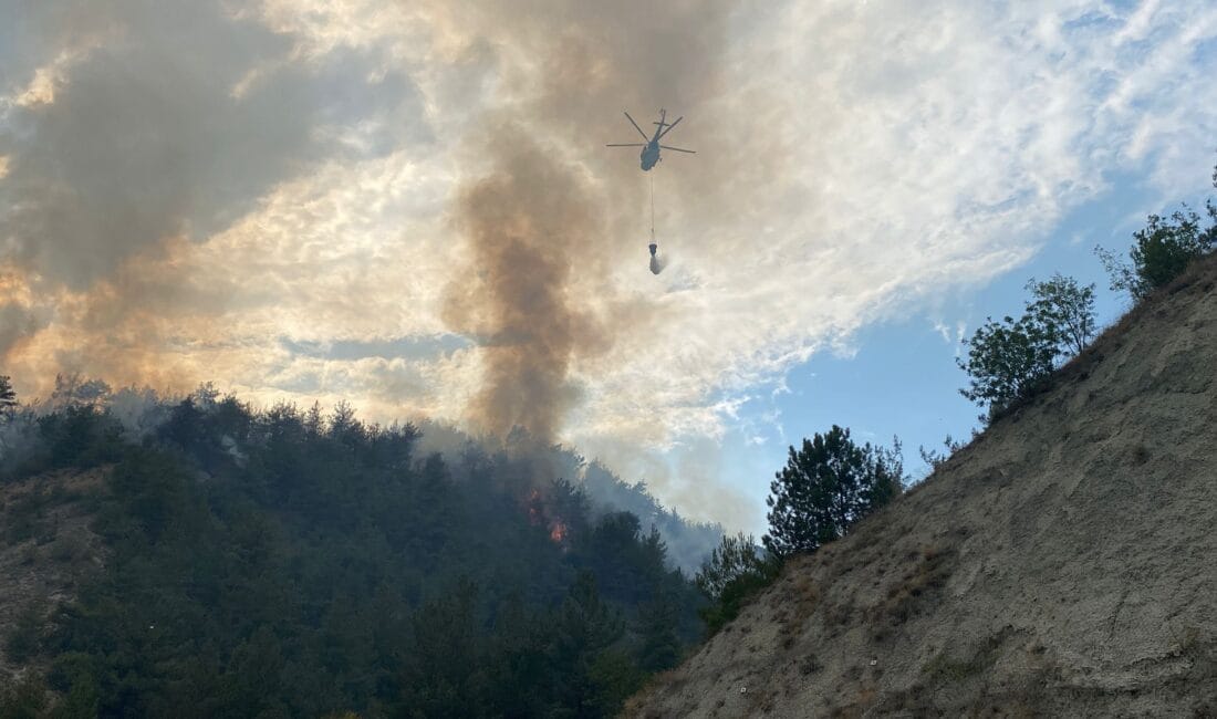 KARABÜK FATİH MAHALLESİ YAKINLARINDAKİ ORMAN YANGINI KONTROL ALTINA ALINDI Karabük’te Fatih Mahallesi yakınlarındaki ormanda çıkan yangın, ekiplerin yaklaşık 3