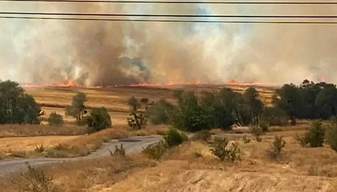 Karabük’ün Eskipazar ilçesine bağlı Yazıkavak köyü Keçeler Mahallesi’nde çıkan anız