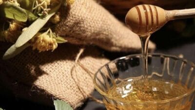 Karabük’ün Yenice ilçesine ait ıhlamur balı, Avrupa Birliği’nden (AB) coğrafi