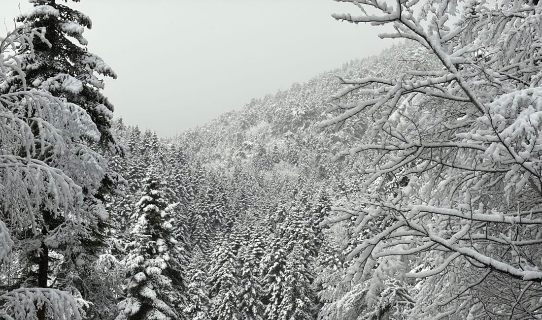 Karabük-Bartın kara yolunun 1030 rakımlı Ahmetusta geçidi ve Safranbolu’nun 1700