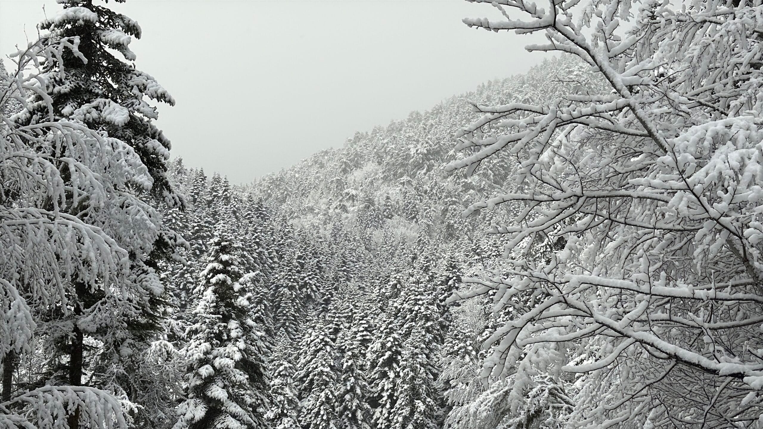 Karabük-Bartın kara yolunun 1030 rakımlı Ahmetusta geçidi ve Safranbolu’nun 1700