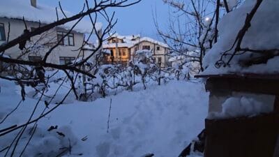 Karabük’te Yaşlı Kadın Bahçede Ölü Bulundu Karabük’te 80 yaşındaki bir