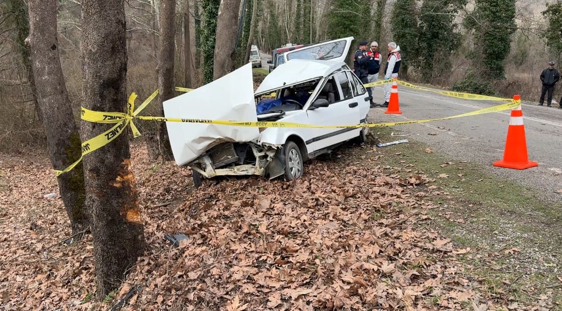 Karabük’ün Safranbolu ilçesinde kontrolden çıkarak ağaca çarpan otomobilde bulunan yolcu