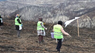 Karabük’te orman yangınlarına karşı alınan önlemler kapsamında su tankeri dağıtım