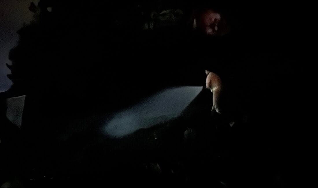 ORMANLIK ALANDA ÇIKAN YANGINDA 1 DEKARLIK ALAN ZARAR GÖRDÜ Ormanlık alanda çıkan örtü yangını söndürüldü Karabük’te demir yolu hattının