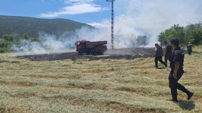 Karabük’ün Eskipazar ilçesine bağlı Hanköy köyü mevkiindeki otluk alanda çıkan