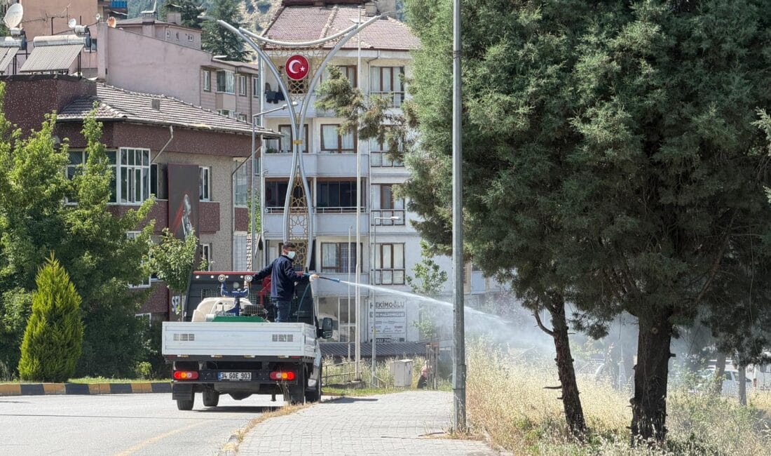 Karabük Belediyesi, yaz aylarının gelmesiyle birlikte şehir genelinde sinek ve