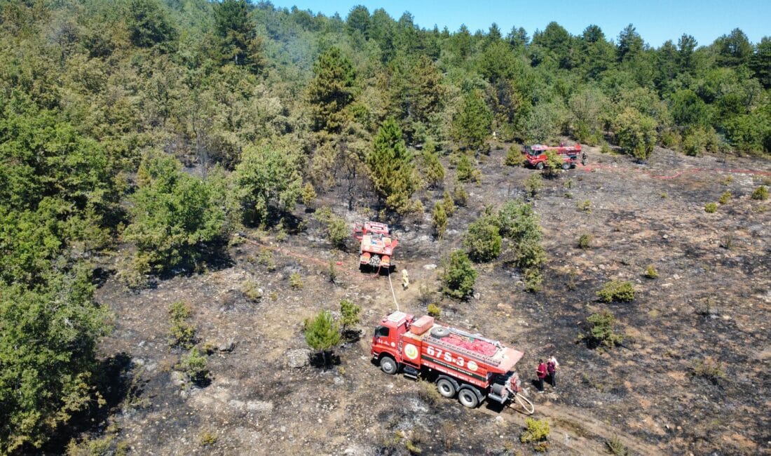 Karabük’ün Eflani ilçesinde otluk alanda çıkan yangın ormana sıçradı. Yangın