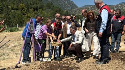 DÜNYANIN EN PAHALI BAHARATI SAFRANIN EKİMİ BAŞLADI UNESCO Dünya Miras Listesi’nde yer alan ve Cittaslow ağına katılarak