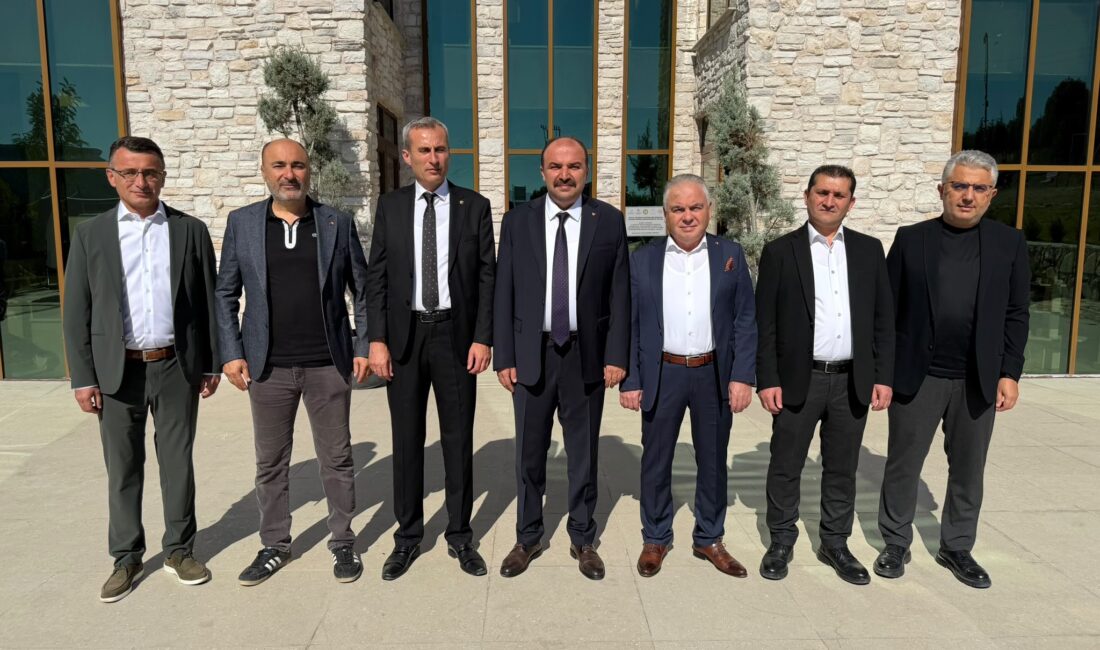 Safranbolu Ticaret ve Sanayi Odası Meclis Başkanı, Yönetim Kurulu Başkanı