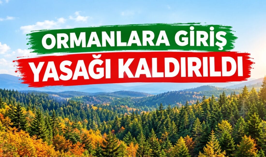 Karabük’te yaz döneminde orman yangınlarıyla mücadele kapsamında uygulanan ormanlara giriş